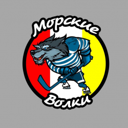 Детский хоккейный клуб Морские волки - Хоккей